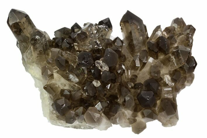 Smoky Quartz Crystal Cluster - Brazil #124606